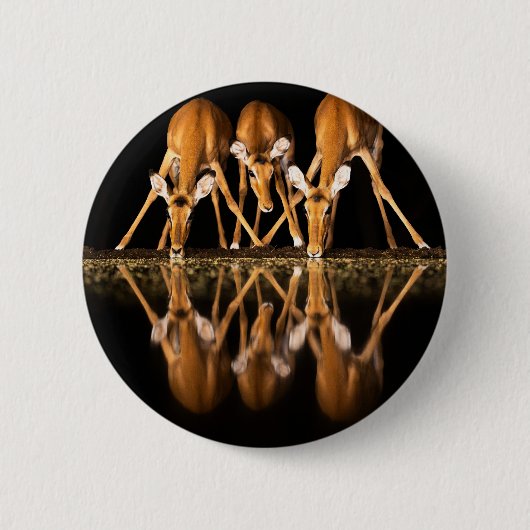 Drie impala's drink 's nachts samen ronde button 5,7 cm (Voorkant)