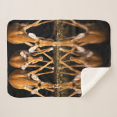 Drie impala's drink 's nachts samen sherpa deken (Voorkant (horizontaal))