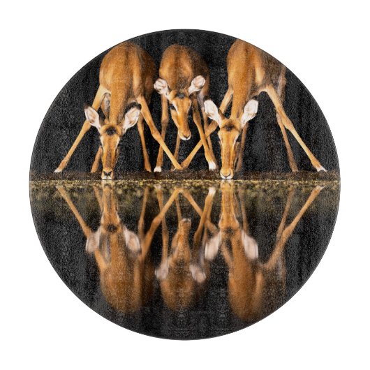 Drie impala's drink 's nachts samen snijplank (Voorkant)