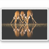 Drie impala's drink 's nachts samen sticker (Voorkant)