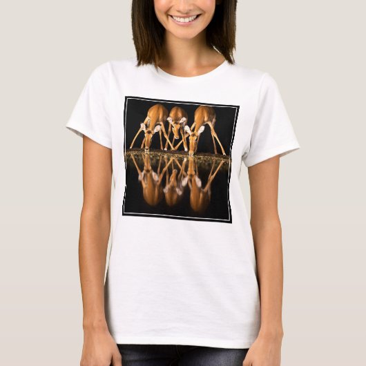 Drie impala's drink 's nachts samen t-shirt (Voorkant)