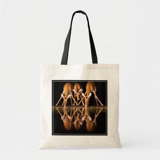 Drie impala's drink 's nachts samen tote bag (Voorkant)
