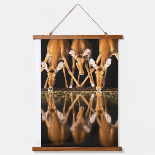 Drie impala's drinken 's nachts samen hangend wandkleed (Voorkant)
