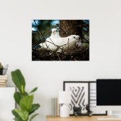 Drie in een boom poster (Thuiskantoor)
