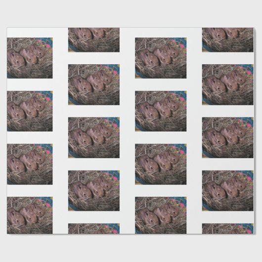 "Drie in een rij" Cadeaupapier (Vlak)