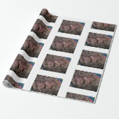 "Drie in een rij" Cadeaupapier (Uitgerold)