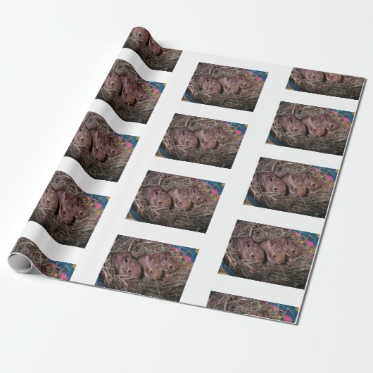 "Drie in een rij" Cadeaupapier (Uitgerold)