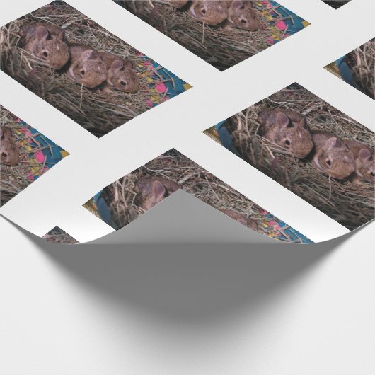 "Drie in een rij" Cadeaupapier (Hoek)