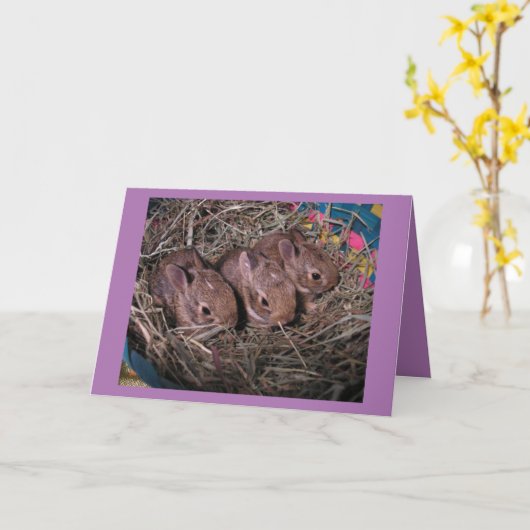 Drie in een rij kaart (Gele Bloem)