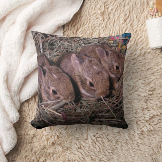 Drie In Een Rij Kussen (Deken)