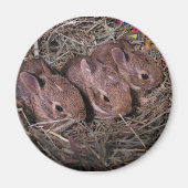 Drie in een rijmagneet magneet (Voorkant)