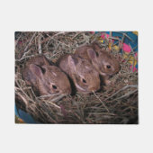 Drie in een roestdeur deurmat (Voorkant)