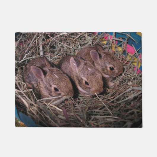 Drie in een roestdeur deurmat (Voorkant)