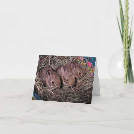 Drie in rij bedankkaart (Voorkant)