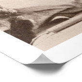 Drie Indische Braves, gefotografeerd door de Royal Poster (Hoek)