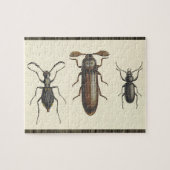 Drie Insecten Puzzle Legpuzzel (Horizontaal)