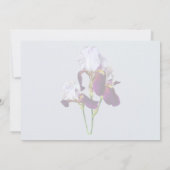 Drie Irissen in Tinten van Magenta Kaart (Achterkant)