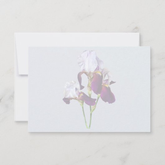 Drie irissen in tinten van magenta RSVP kaartje (Achterkant)