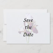 Drie irissen in tinten van magenta save the date (Achterkant)
