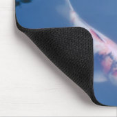 Drie Japanse koivissen in vijver Muismat (Hoek)