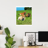 Drie Jersey koeien Poster (Thuiskantoor)