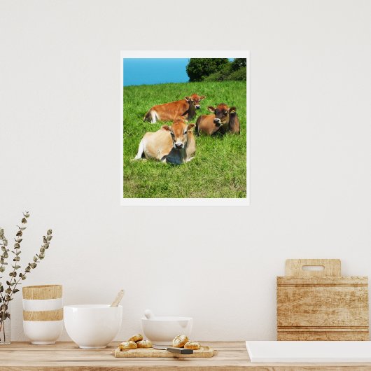 Drie Jersey koeien Poster (Keuken)