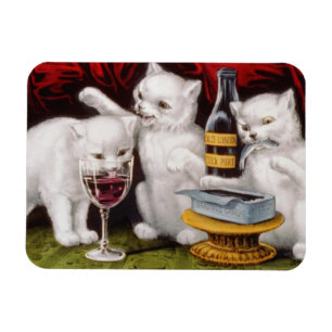 Drie Jolly Kittens op het Feest Magneet