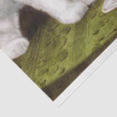 Drie Jolly Kittens op het Feest Tissuepapier (Detail)