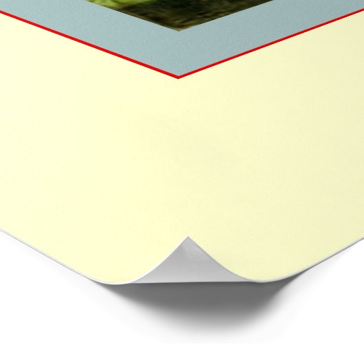 Drie Jolly Kittens Poster (Hoek)