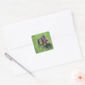 Drie jonge Chimpansees (Pan troglodytes) in Vierkante Sticker (Envelop)