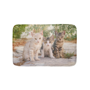 Drie jonge kat kittens zitten bevriend samen badmat