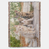 Drie jonge kat kittens zitten bevriend samen deken (Voorkant Verticaal)