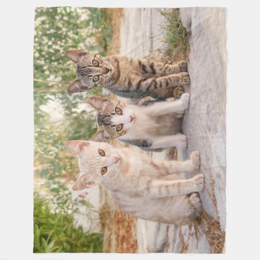 Drie jonge kat kittens zitten bevriend samen fleece deken (Voorkant)