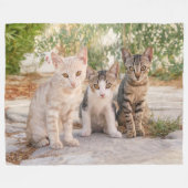 Drie jonge kat kittens zitten bevriend samen fleece deken (Voorkant (Horizontaal))
