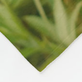 Drie jonge kat kittens zitten bevriend samen fleece deken (Hoek)