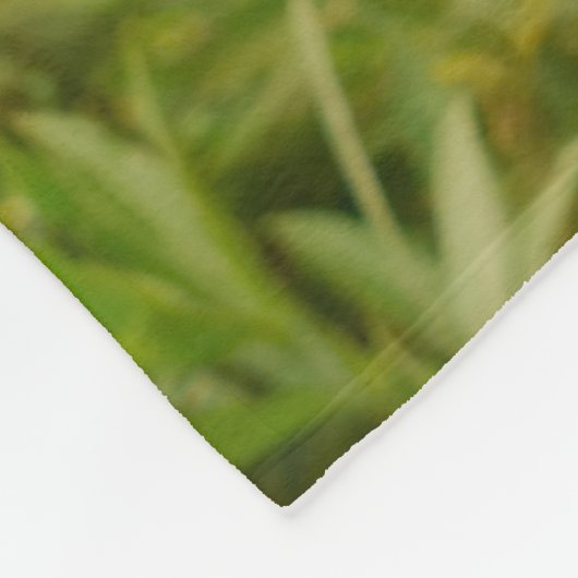 Drie jonge kat kittens zitten bevriend samen fleece deken (Hoek)