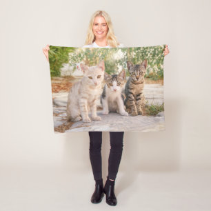 Drie jonge kat kittens zitten bevriend samen fleece deken