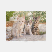 Drie jonge kat kittens zitten bevriend samen fleece deken (Voorkant (Horizontaal))