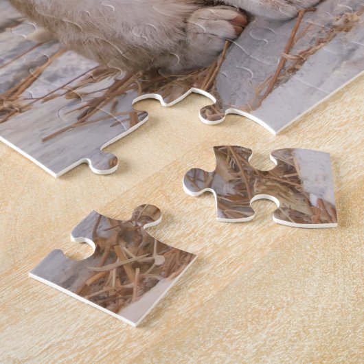 Drie jonge kat kittens zitten bevriend samen legpuzzel (Zijkant)