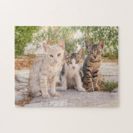 Drie jonge kat kittens zitten bevriend samen legpuzzel