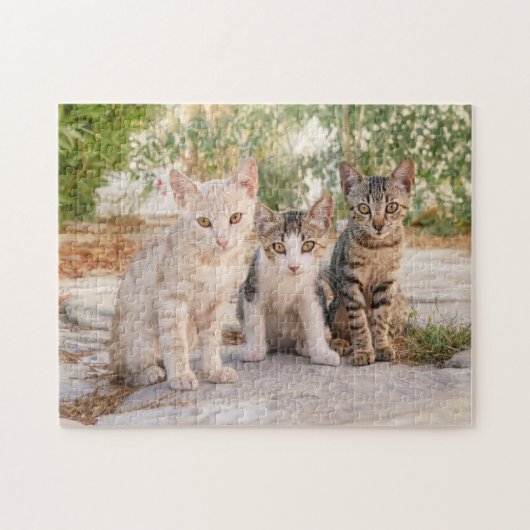 Drie jonge kat kittens zitten bevriend samen legpuzzel (Horizontaal)