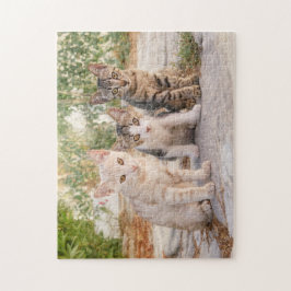 Drie jonge kat kittens zitten bevriend samen legpuzzel