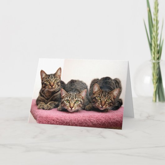 Drie Kaarten van de Amigo (Voorkant)