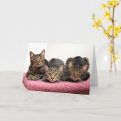 Drie Kaarten van de Amigo (Gele Bloem)