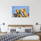 Drie kamelen, kameelmarkt, Caïro, Egypte Canvas Afdruk (Insitu (Slaapkamer))
