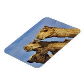 Drie kamelen, kameelmarkt, Caïro, Egypte Magneet (Linkerzijde)