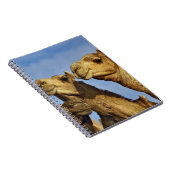 Drie kamelen, kameelmarkt, Caïro, Egypte Notitieboek (Rechterzijde)