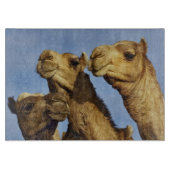 Drie kamelen, kameelmarkt, Caïro, Egypte Snijplank (Voorkant)