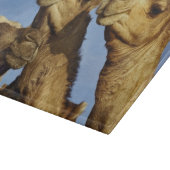 Drie kamelen, kameelmarkt, Caïro, Egypte Snijplank (Hoek)