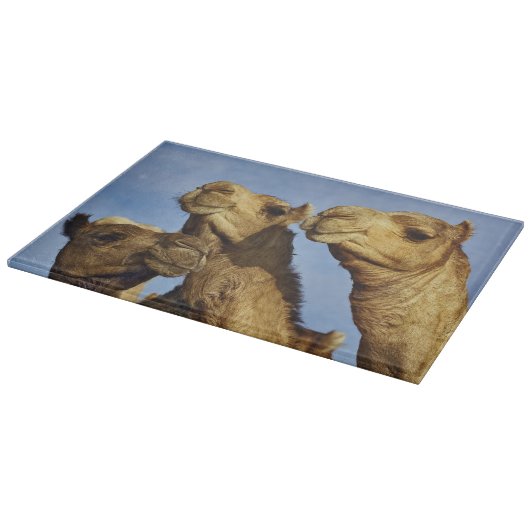 Drie kamelen, kameelmarkt, Caïro, Egypte Snijplank (Hoek)